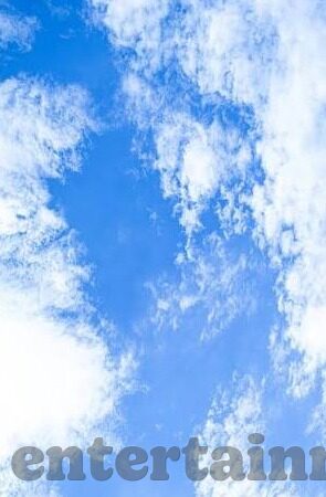 悠游森林舞会-悠游森林舞会，一场自然与梦幻的交响曲